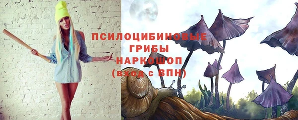 прущие крисы Надым